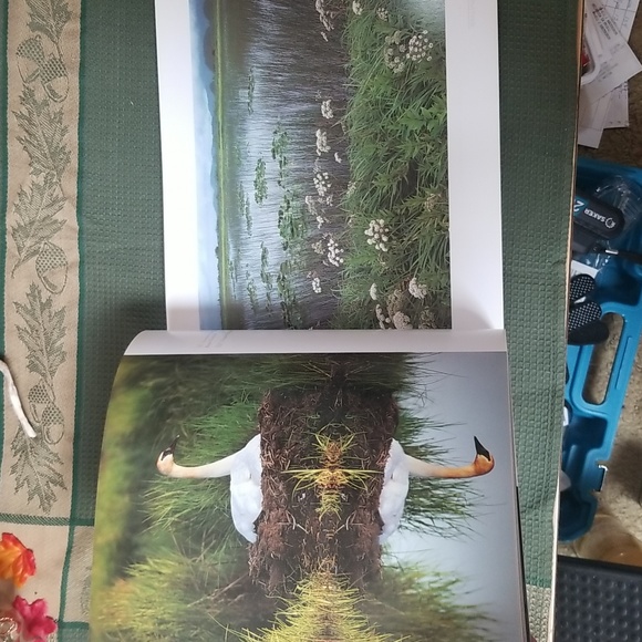 ⭐ALASKA BOOK - Picture 5 of 9